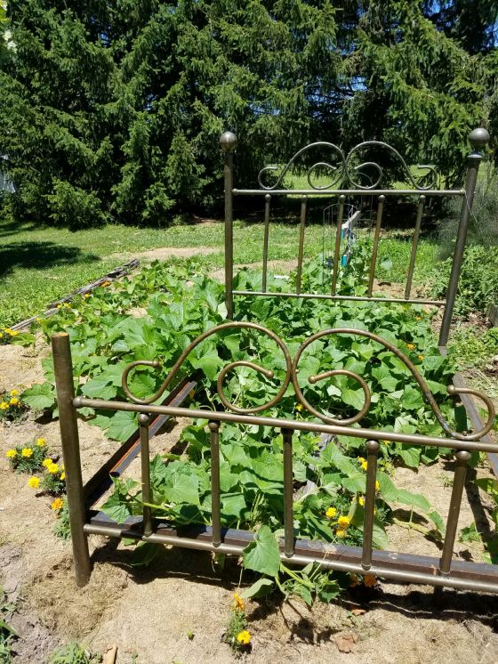 Resized_20170620_122058